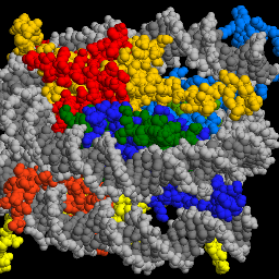 Publications about nucleosomes. Maintained by @TeifLab. Also see @TF_binding_bot, @CTCF_papers, @cfDNA_papers, @generegulation. @nucleosome_bot@genomic.social