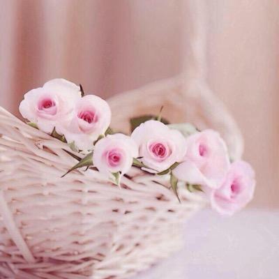 misss1234611's profile picture. ابتسم حين يضيق عليك الأمر واستبشر ، فرب الخير لا يأتي إلا بالخير .  لااله الا انت سبحانك إني كنت من الظالمين ''