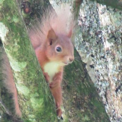 dgsbiology's profile picture. Miss Scott from Dunbar Grammar School, East Lothian, Scotland. Follow for all DGS Biology news