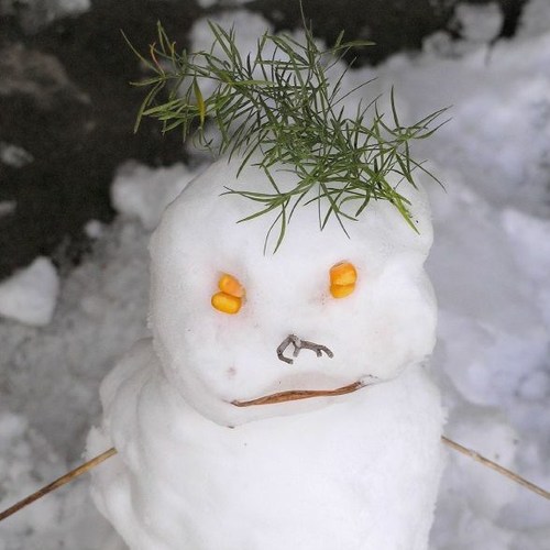 overduebook's profile picture. 