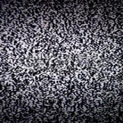 xalsteww's profile picture. 