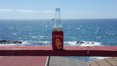 ledzepfever's profile picture. 