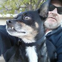 Dave Schlom (@daveschlom) 's Twitter Profile