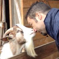 Marco Salvetti (@marco_da_zena) 's Twitter Profile Photo Marco Salvetti (@marco_da_zena) 's Twitter Profile Photo