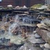 A Landscaper's View (@landscapersview) Twitter profile photo
