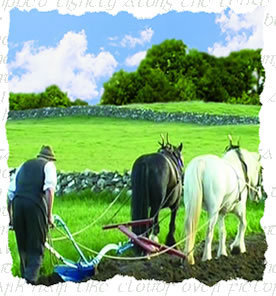 Nostalgic trip down more than 60 years of memory lane, Old Ireland DVD illuminates the customs and practices in traditional farming life of the 1940s and 1950s