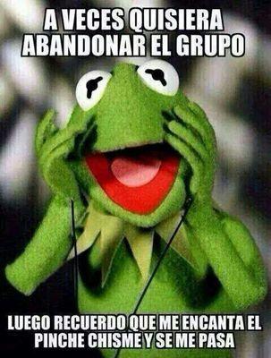 233_442's profile picture. 