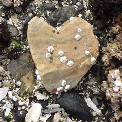 ShBaatz's profile picture. Lifelong learner inspired by my family, friends and of course...the Kindergarten wonderers who share their thoughts with me