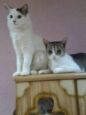 eliza_miguela's profile picture. 