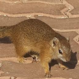 CustComplainant's profile picture. 