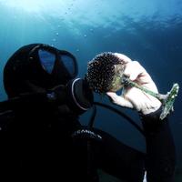 Saul Ciriaco (@saulinux) 's Twitter Profile