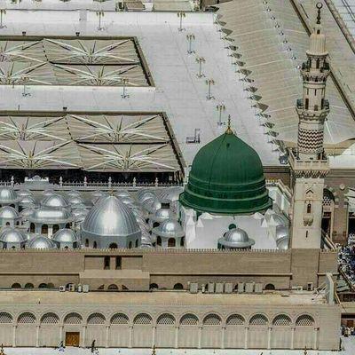 junaidziai786's profile picture. 