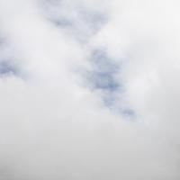 Indira Behara (@queenindibee) 's Twitter Profile