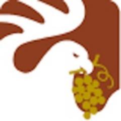 cantinapardi's profile picture. 