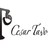 CesarTavolieri's profile image