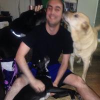 Matt Ross (@mattro1753) 's Twitter Profile
