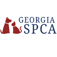 Georgia SPCA(@GeorgiaSPCA) 's Twitter Profile Photo