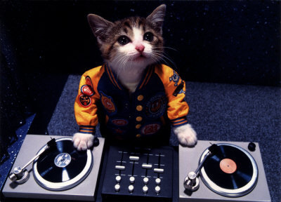 wagwanlondon's profile picture. Zan, Zendegi, Azadi. Woman, Life, Freedom.