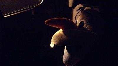 ひむかのあんパンさんのプロフィール画像