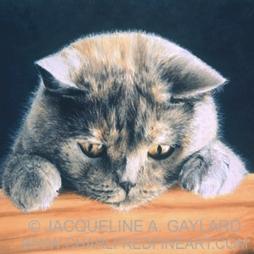 Jacqueline Gaylard Art