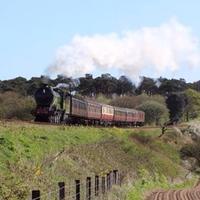 AULRE Tweets (@aulretweets) &#39;s Twitter Profile Photo