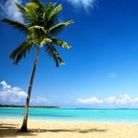 Best Scenery (@best_scenery) 's Twitter Profile