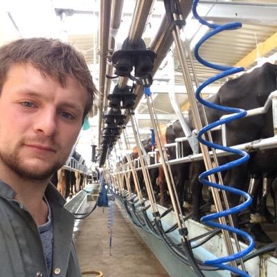 Dave_Marrow's profile picture. Grass based dairy farmer from cheshire!