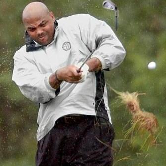 smart_golfer's profile picture. I should lay up but fuck it. #GOLF #BIRDIES #GOBIGORGOHOME