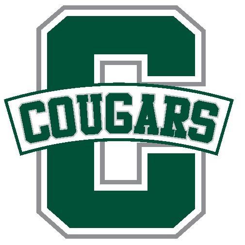 Official account; Lake Catholic Cougars Hockey. Members of the GLHL. Team info: https://t.co/p2SzK3xMRe #WhateverItTakes
