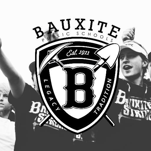 BauxiteSchools Profile Picture