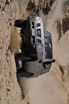 5df4f448387d41e's profile picture. 