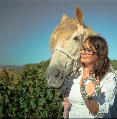 Herraduras autenticas de caballo restauradas para decoración