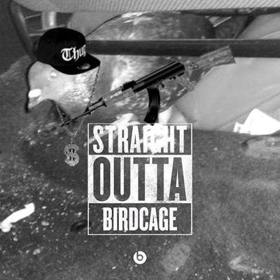 Mobiuz0ne's profile picture. Whatsup everyone. The names Joey and im new to the Twitter game! Im also a Twitch streamer so please check out my channel below! Thank's in advance.