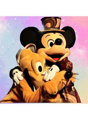 D_mic28's profile picture. ディズニーと旅行とホテルが好き 社会人/仮装民（加工厨）/元TDR共通7年生SHDL/HKDL/ミキヲタ D垢寄りのいろんなこという日常雑多垢 🇯🇵🇭🇰🇨🇳🇺🇸🇫🇷