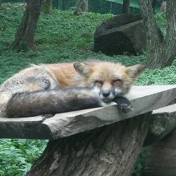 dattiflstf1's profile picture. 