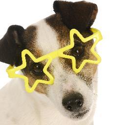 Star Dog Loves FUN! Yellow Star Studios' favorite pooch, Star Dog, is a celebrity canine who loves gobbling superb tweets from the Communications Cooperative!