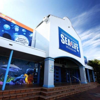 uwwsealife's profile picture. This is the official Twitter profile for SEA LIFE Mooloolaba, located on the beautiful Sunshine Coast. #sealifemooloolaba