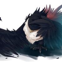 honchkrow (@murkrowsoarhigh) 's Twitter Profile