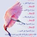 محمد عبدالسلام (@0563598673) Twitter