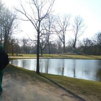 Hugo D. Collado (@hugocollad0) 's Twitter Profile