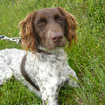 larsemma's profile picture. levens genieter met 1 motto
ONE LIFE CACHE IT
Vichte