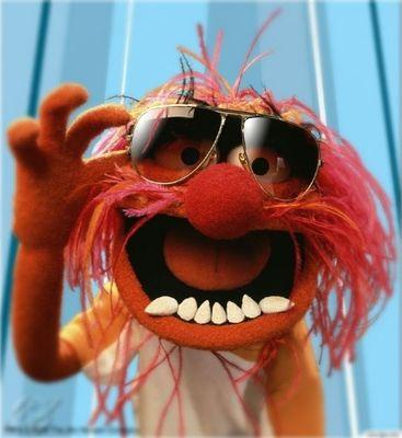 lvmiguelapl's profile picture. 
