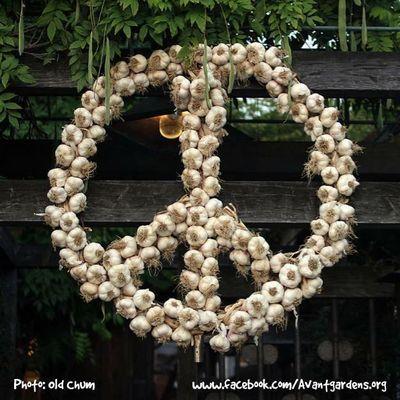 MonicaAyrala's profile picture. 