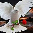 bouazza el bouazzaou (@0601868968El) Twitter