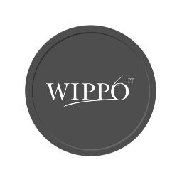 Wippo Team is a company of Web Development and Software Solutions in Moldova.