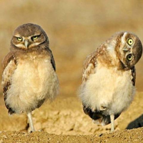 doVale_Wilkey's profile picture. Tweeting about all things related to our class!