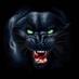 The Jungle (@packstusection) Twitter profile photo The Jungle (@packstusection) Twitter profile photo