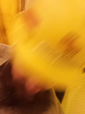 joshandersonja's profile picture. 