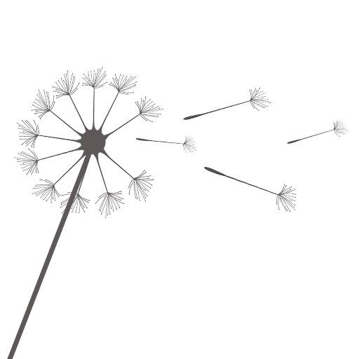 Little Wish