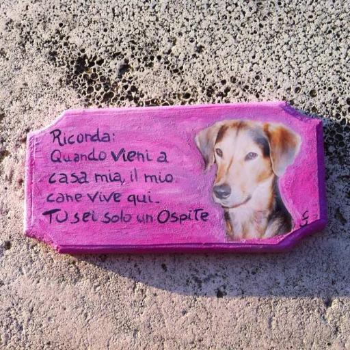 04federica04's profile picture. 